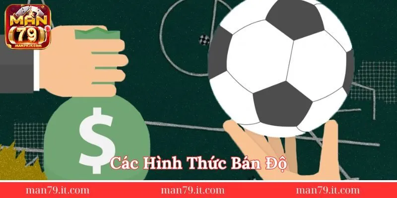 cac-hinh-thuc-ban-do