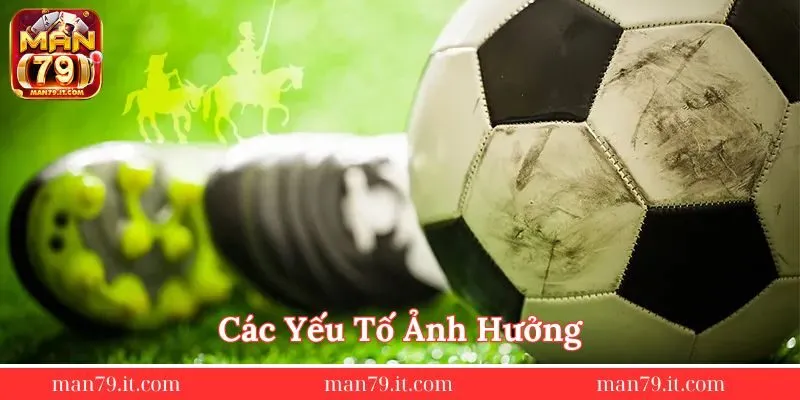 cac-yeu-to-anh-huong